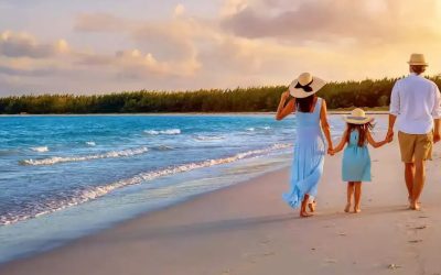 Hoabl Plots: Your Ideal Home Near AIIMS and Samruddhi Mahamarg